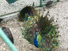 -南京金牛湖风景区