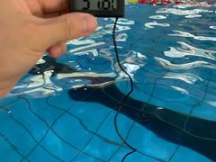 -BK博·康健身(金地格林小镇店)