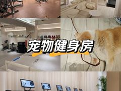 -YCHL Studios健身工作室(市二宫店)