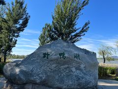 -野鸭湖国家湿地公园