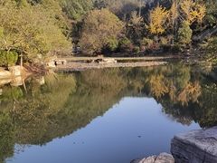 -桃花岭景区