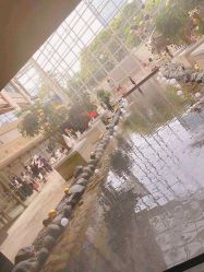 -红丝高端婚礼中心(旗舰店)