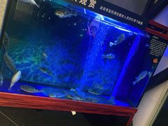-肆月河豚·新淮扬(金融街店)