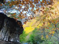 -孤山寨风景区