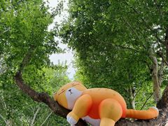 -西安电影制片厂