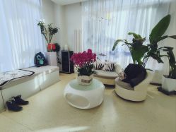 -黎蓓露·徒手骨雕蛋白抗衰·调肤管理