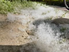 -合肥滨湖国家森林公园