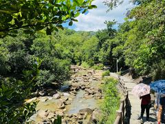 -广州白江湖森林公园