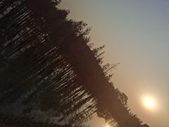 -白鹭湾湿地公园