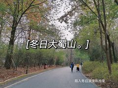 -大蜀山国家森林公园