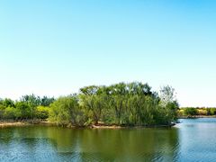 -大兴滨河森林公园