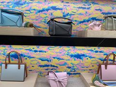 -LOEWE罗意威(北京SKP女装店(一层))