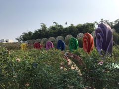 -百万葵园