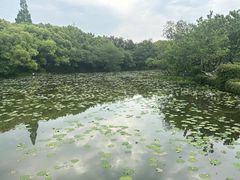 -八卦田遗址公园