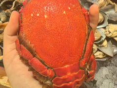 -River Café 海鲜自助(重庆丽笙世嘉酒店)