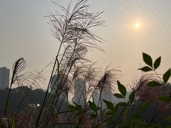 -重庆彩云湖湿地公园