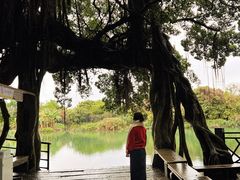 -小洲村