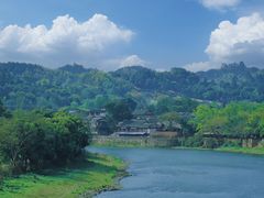 -空港花田景区