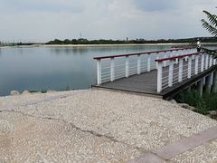 -天津金海湖