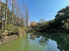 -上海醉白池公园