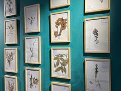 -迪庆藏族自治州博物馆