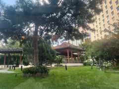 -亮马河饭店翠雅咖啡厅