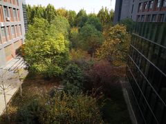 -河南财经政法大学(郑东校区)