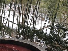 -江南天池高山汤泉城