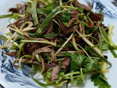 -鸿运大厨·大馅饺子·家常菜