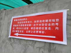 -龙大花卉苗木市场