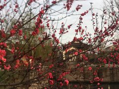 -常德桃花源景区