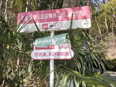 -冶父山国家森林公园