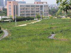 -红花山公园