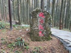 -山王坪喀斯特国家生态公园