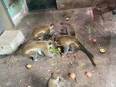 -无锡动物园·太湖欢乐园