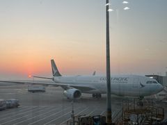 -上海浦东国际机场-T2航站楼