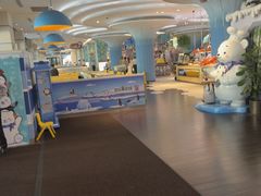 -帝企鹅自助餐厅•儿童岛•真企鹅(长隆企鹅酒店)