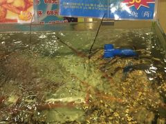 -东江海鲜酒家(客村店)