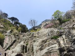 -泰山风景名胜区