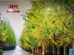 -南雄雄州土菜餐厅(粤北大厦店)