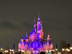 -上海迪士尼度假区