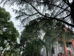 -四川大学(望江校区)