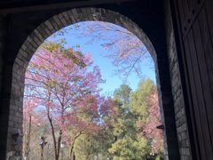 -天龙八部武侠城