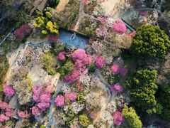 -杭州植物园