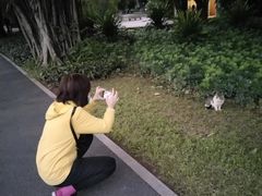 -晓港公园