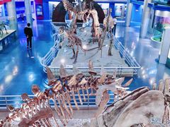 -国家自然博物馆