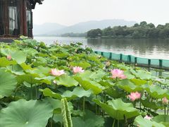 -湘湖大院(越王路店)
