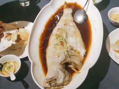 -金狮麟·新豫菜(金码大厦店)
