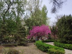 -莲湖公园