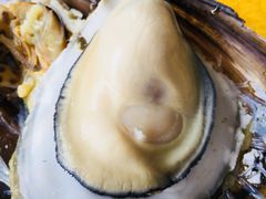 -蚝专家(北滘店)